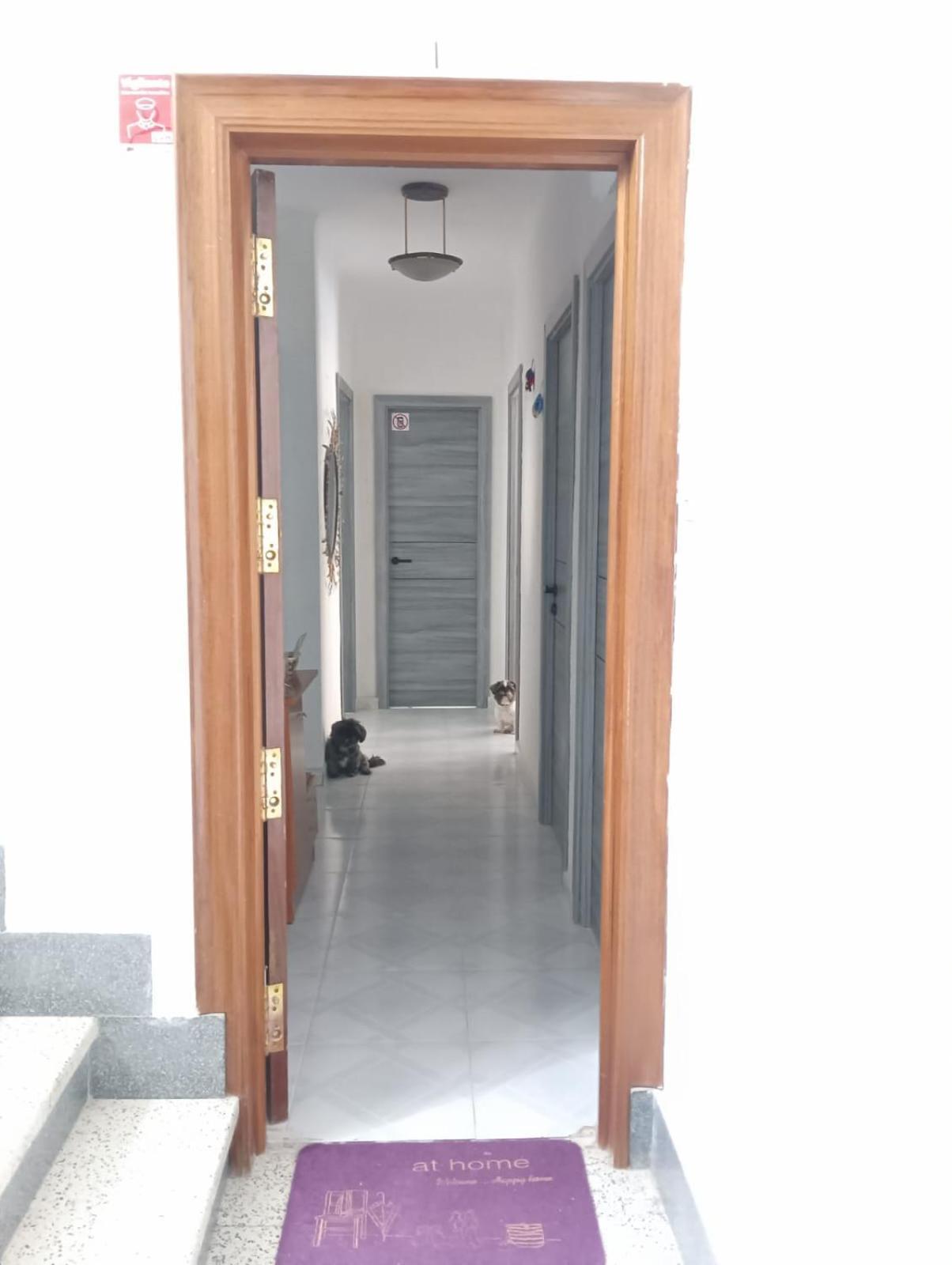 Alicante Habitacion Oasis エクステリア 写真